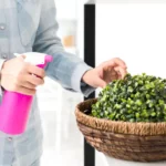 How to Achieve a Stylish Yet Eco-Friendly Interior Design